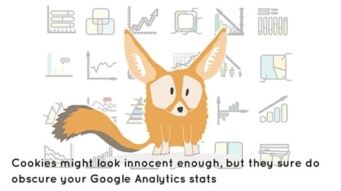 Cookies from Google Analytics