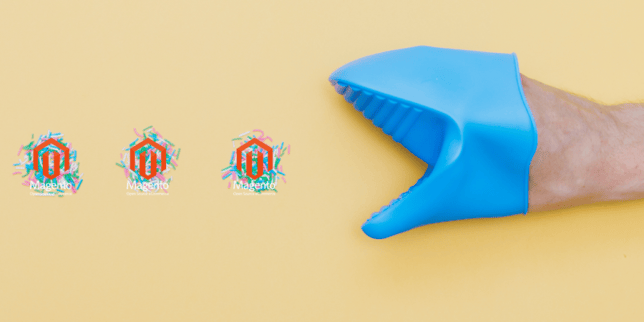 Magento pixel Magento pixel